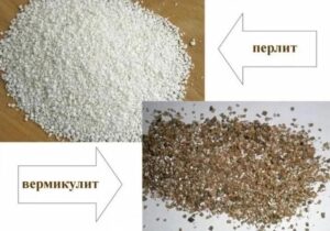 Из чего состоят тёплые строительные смеси: обзор наполнителей (перлит, вермикулит, пеностекло)