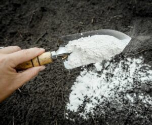Известь против сорняков: как использовать в огороде и на даче