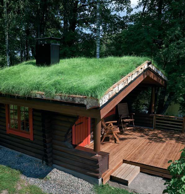 Преимущества зеленой крыши